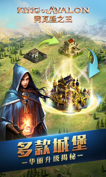 阿瓦隆之王：權(quán)力的游戲4