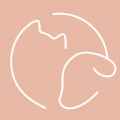 shell32.dll 