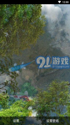 3d魚池動(dòng)態(tài)壁紙（Koi）1