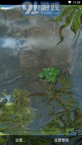 3d魚池動(dòng)態(tài)壁紙（Koi）2