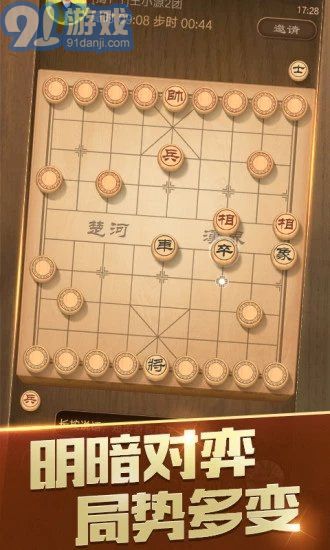 隨心象棋助手2
