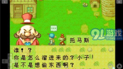 牧場物語礦石鎮(zhèn)的伙伴們中文版1