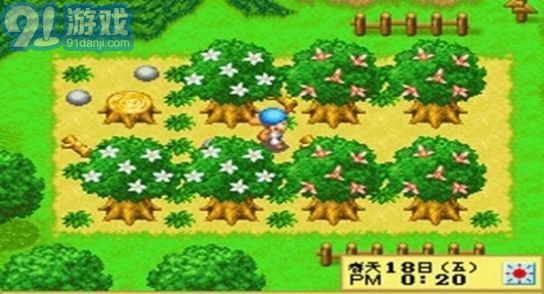 牧場物語精靈驛站中文版2