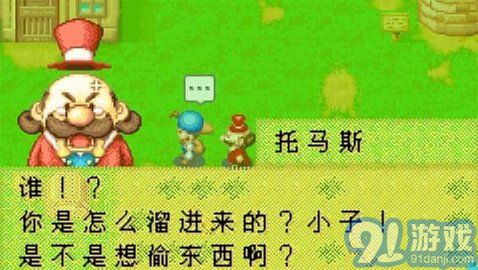 牧場物語3