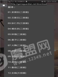 王者榮耀國標(biāo)懸浮助手2