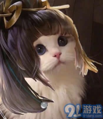 王者榮耀貓咪接頭頭像制作軟件app下載3