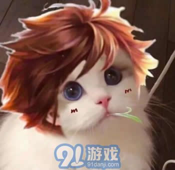 王者榮耀貓咪接頭頭像制作軟件app下載4
