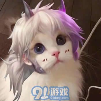 王者榮耀貓咪接頭頭像制作軟件app下載6