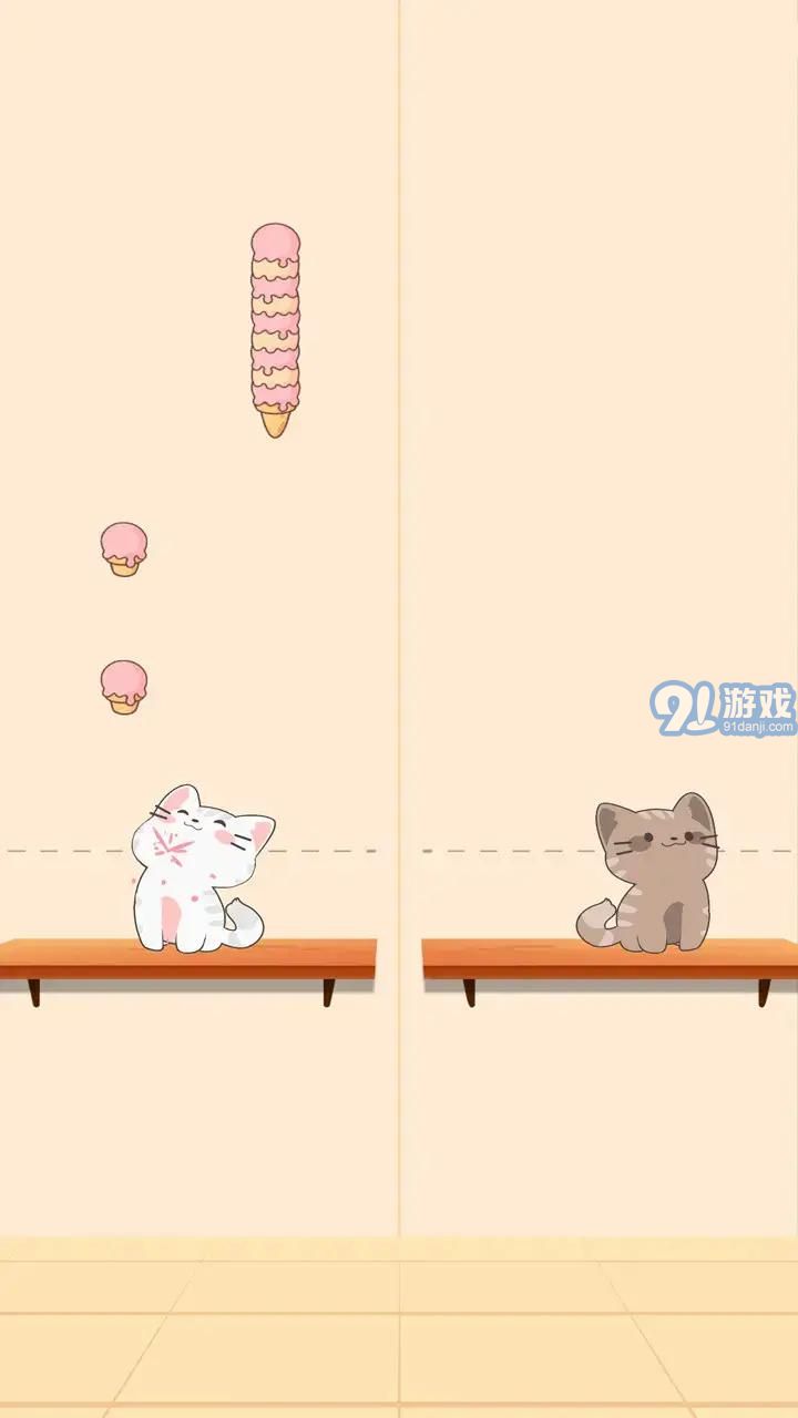 貓咪二重奏1