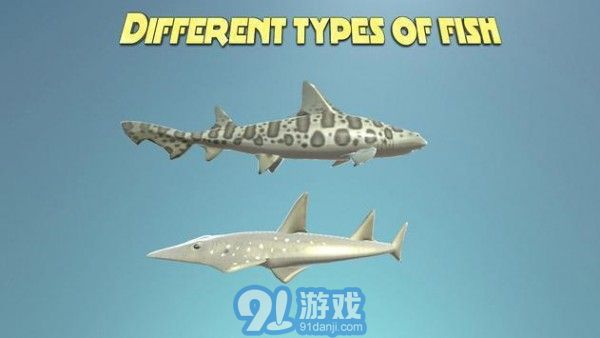 真正的鯊魚模擬器1