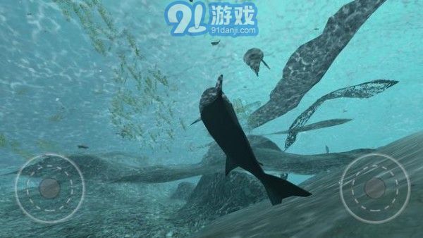 真正的鯊魚模擬器4