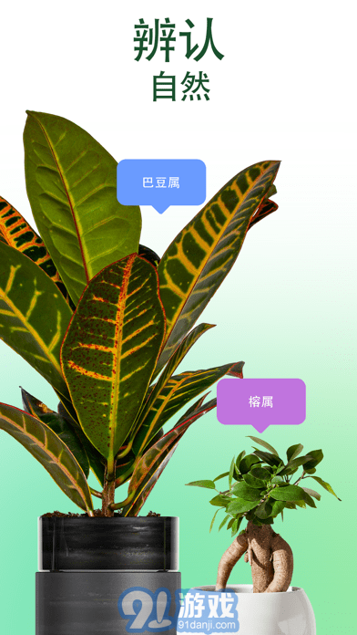 愛自然ID蘋果版1