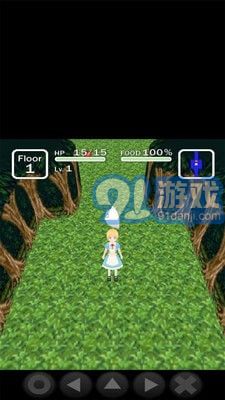 愛麗絲與不思議的迷宮4