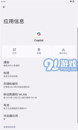 Copilot3