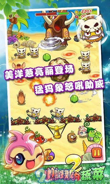 燃燒的蔬菜2經(jīng)典版3
