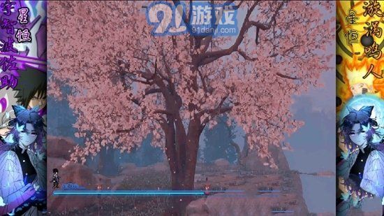 bvn星恒改3