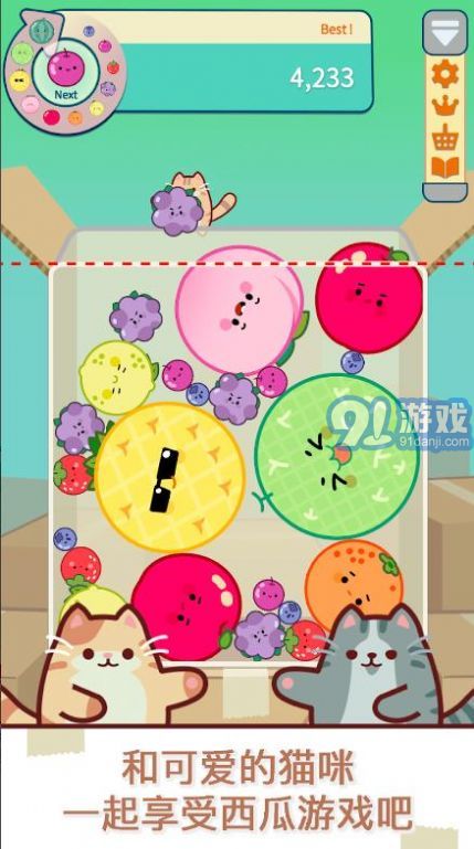 貓和西瓜4