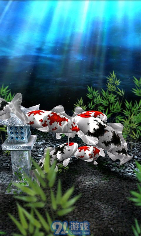 3d水族館動態(tài)壁紙3