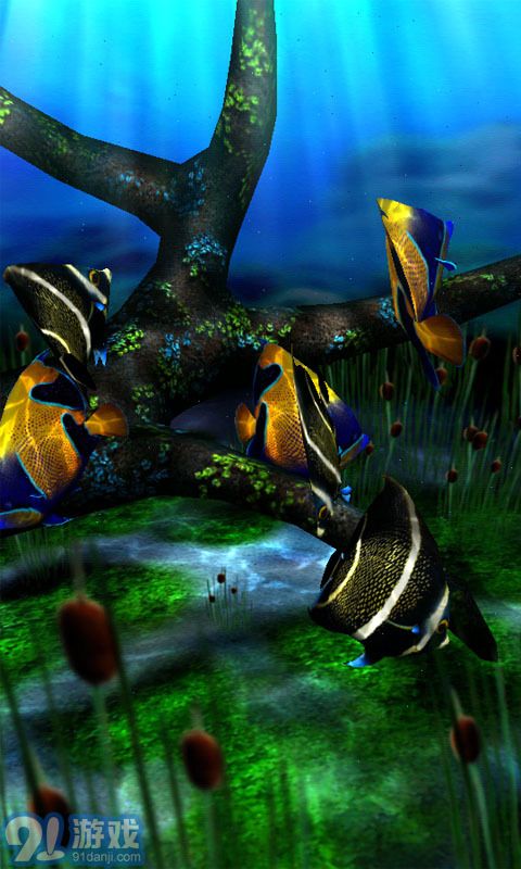 3d水族館動態(tài)壁紙4