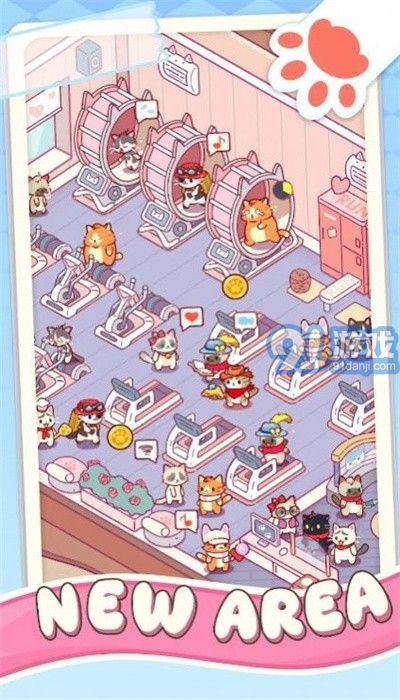 貓咪健身房1