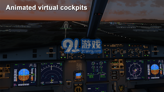 Aerofly FS 20213