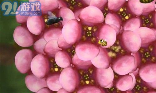 愛(ài)吃花蜜的小蟲(chóng)子3