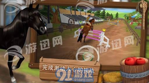 照顧馬兒們1