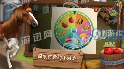 照顧馬兒們3