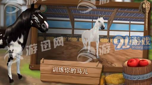 照顧馬兒們4