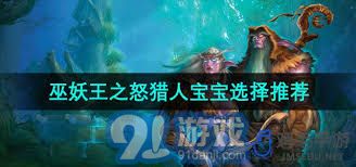魔兽世界巫妖王之怒猎人宝宝选择指南(图1)