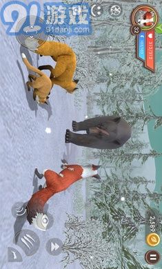 3D動(dòng)物模擬器3