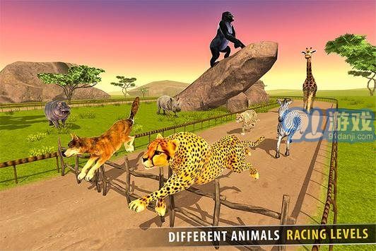熱帶草原動物賽跑3D2