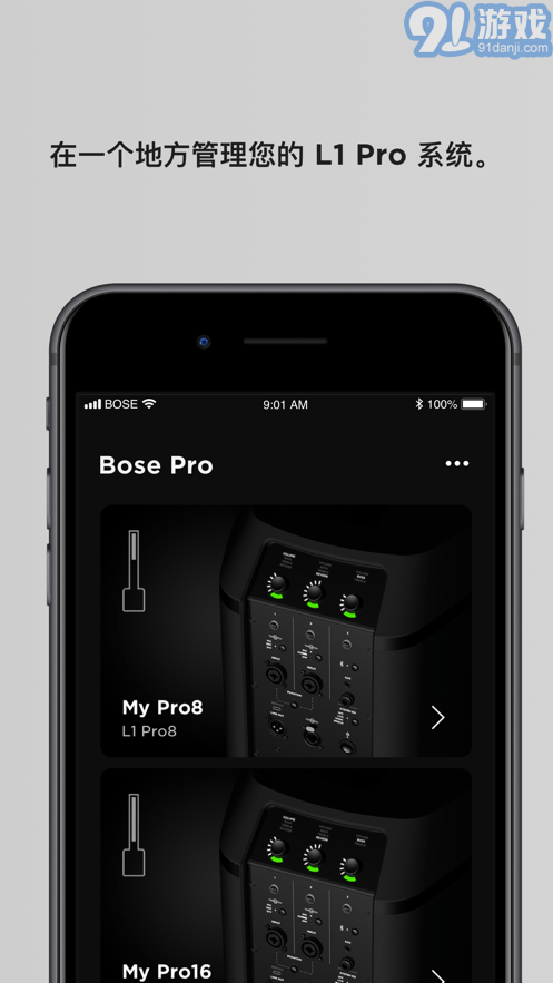 Bose L1 Mix1