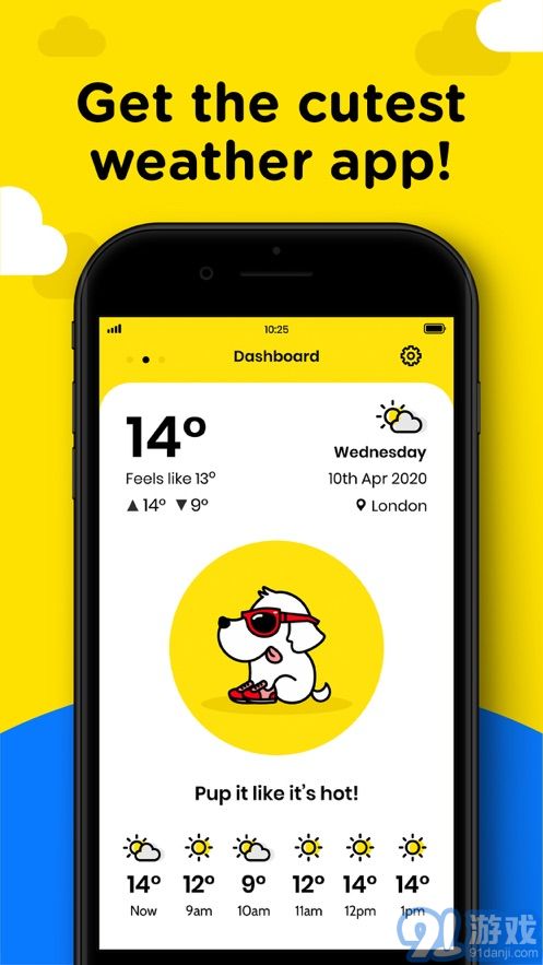 Cats Dogs Weather1