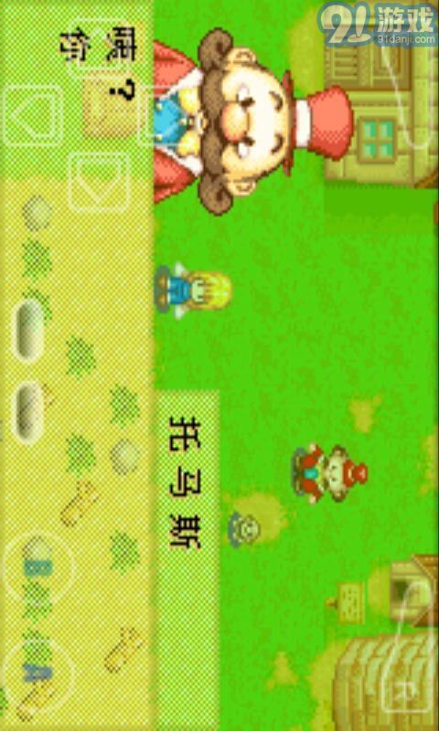 牧場(chǎng)物語女孩版2