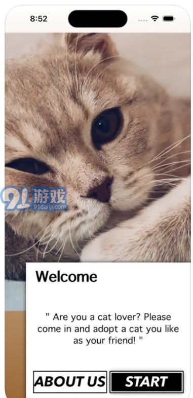 愛貓物語寵物店最新3
