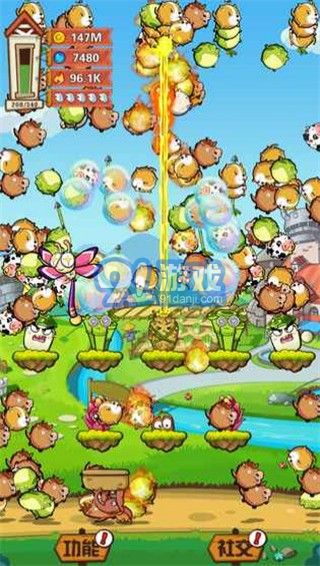 Animal Rain1
