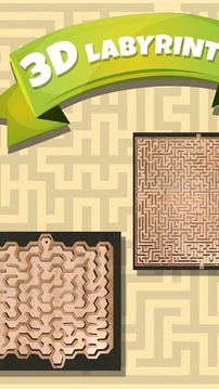 3D經(jīng)典迷宮游戲1