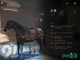 燕云十六声抢马任务攻略：轻松过关技巧分享