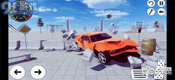 Car Crash5