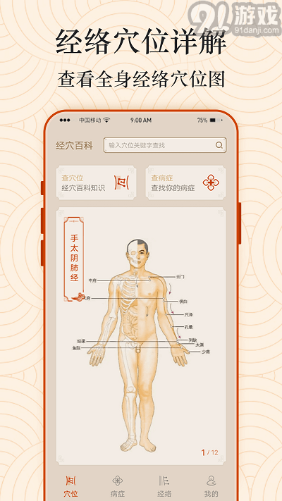ai經(jīng)絡(luò)穴位圖1