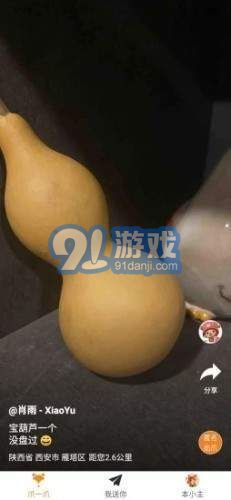 爪玩4