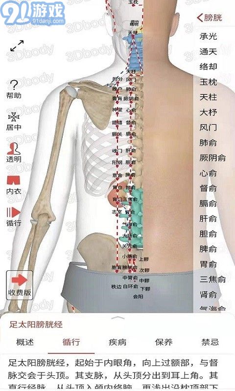 3Dbody經(jīng)絡(luò)穴位2