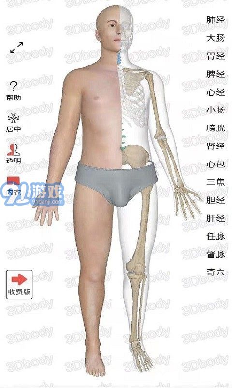 3Dbody經(jīng)絡(luò)穴位3