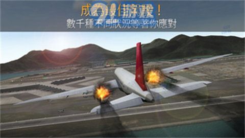 airline commander1