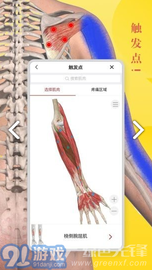 3Dbody藝用(3Dbody藝用三維人體模型)V8.4.41 安卓最新版3