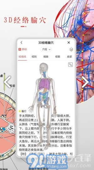 3Dbody藝用(3Dbody藝用三維人體模型)V8.4.41 安卓最新版4