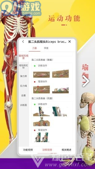 3Dbody藝用(3Dbody藝用三維人體模型)V8.4.41 安卓最新版5