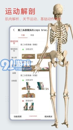 3Dbody藝用1