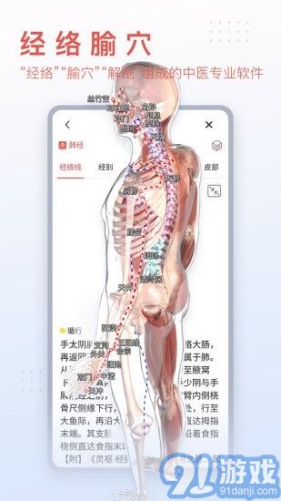 3Dbody藝用2
